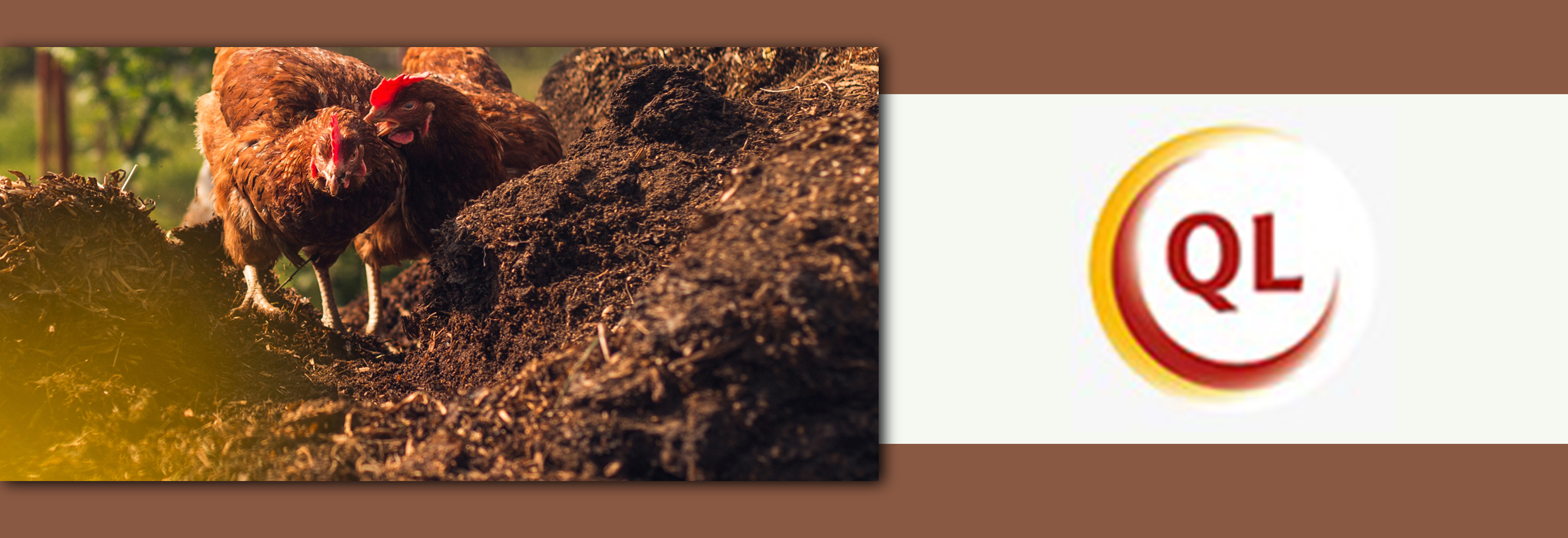 QL FARMS (TAY NINH) Liability Ltd. Co