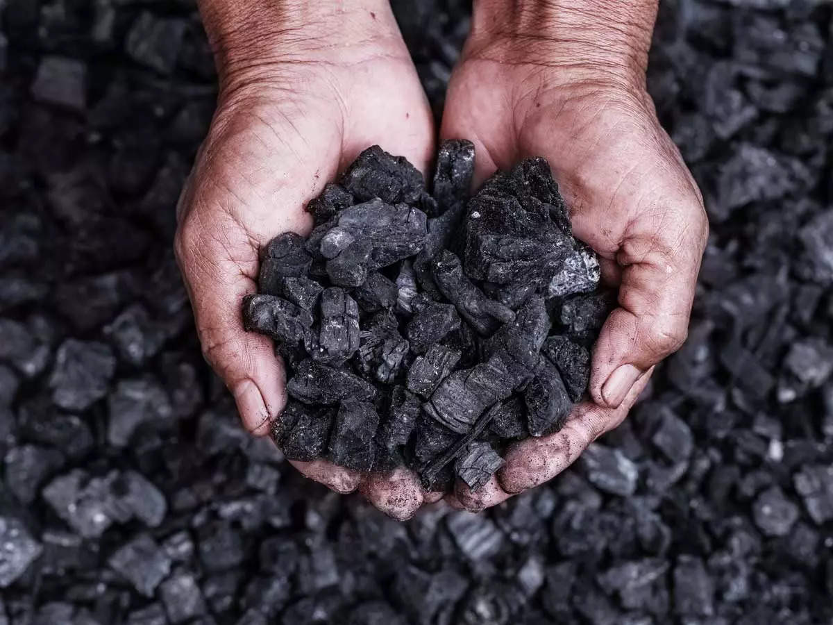 Pet coke