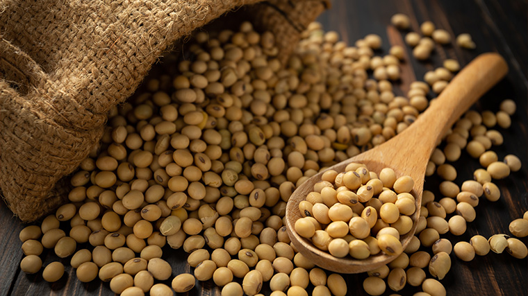 Soybeans 