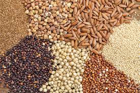 NatureHarvest Organic Grains Pure Healthy and Naturally Nutritious