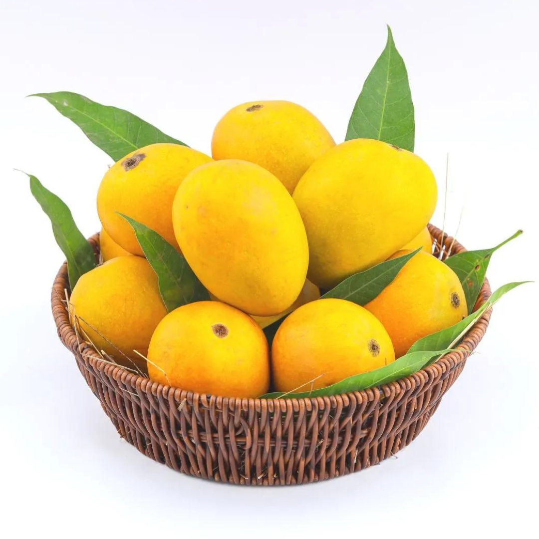 Fresh Mangoes