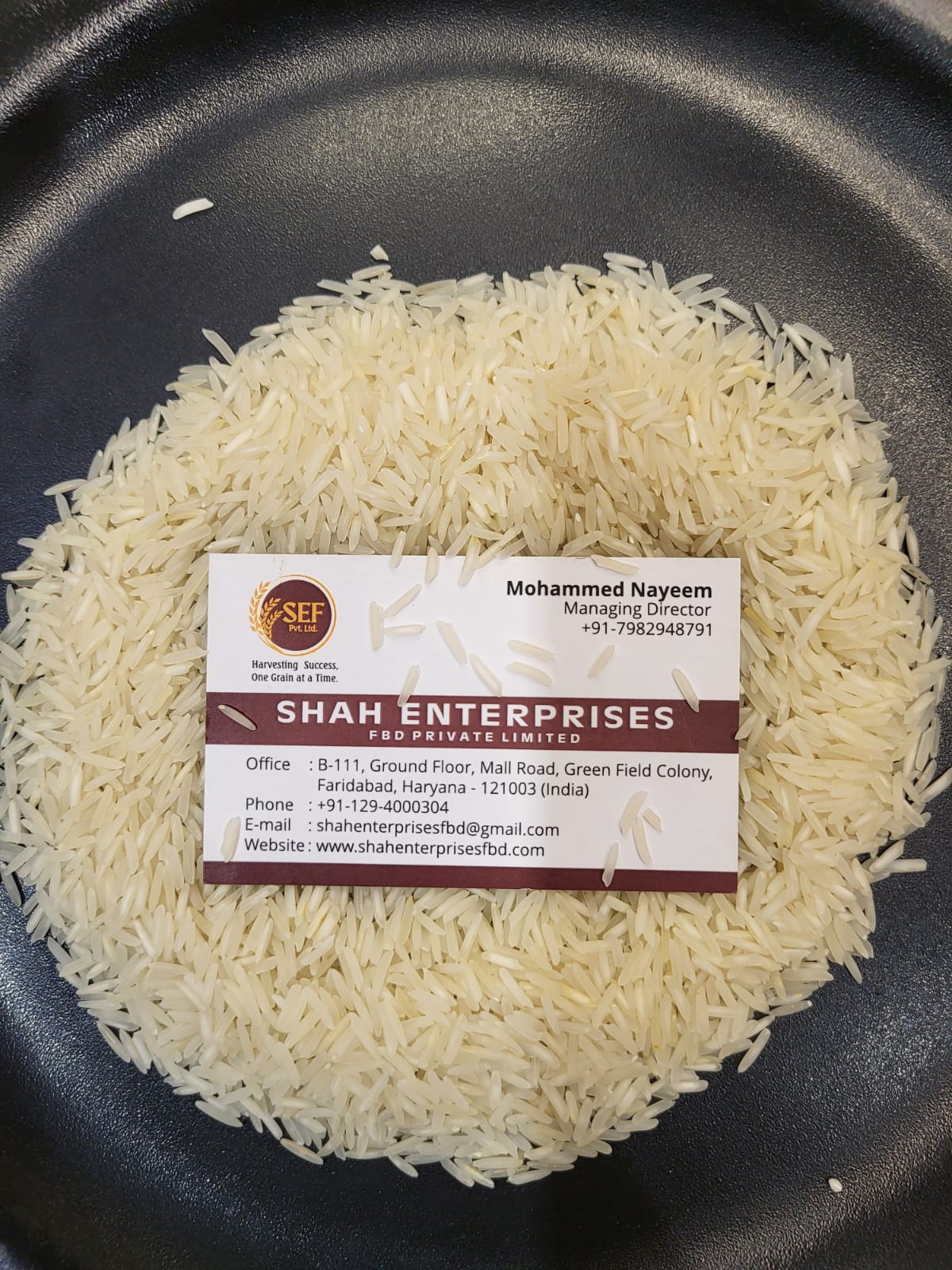 1509 Raw Basmati Rice